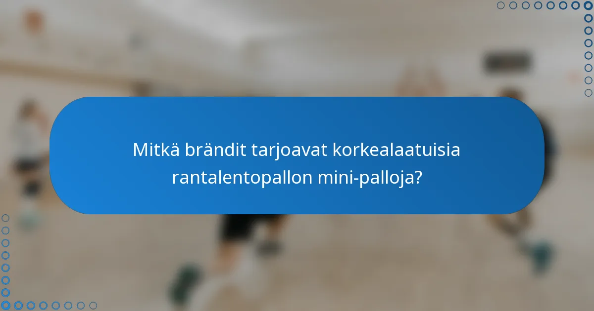 Mitkä brändit tarjoavat korkealaatuisia rantalentopallon mini-palloja?